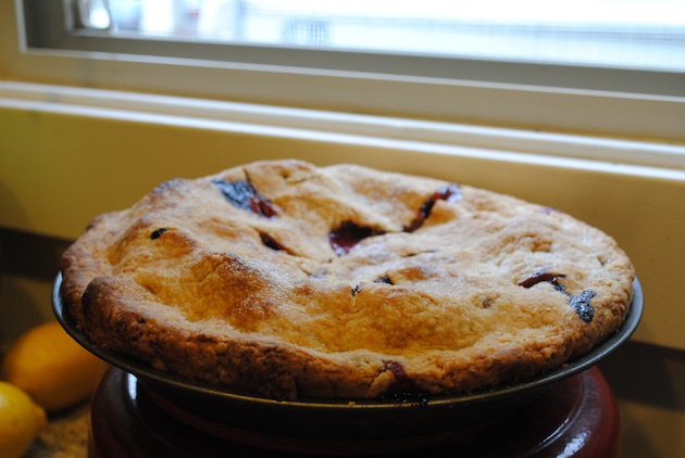 basil plum pie in a window